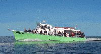 angler.gif